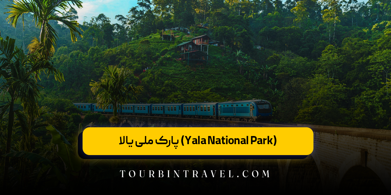 پارک ملی یالا (Yala National Park)